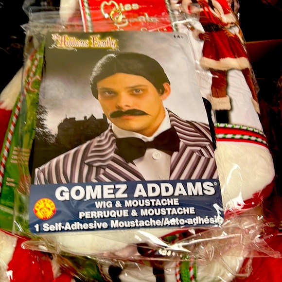 Adult Gomez Wig and Moustache - Picture 1 of 2